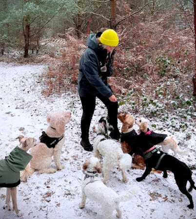 Treats in the snow