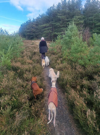 Well behaved pups Well behaved pups